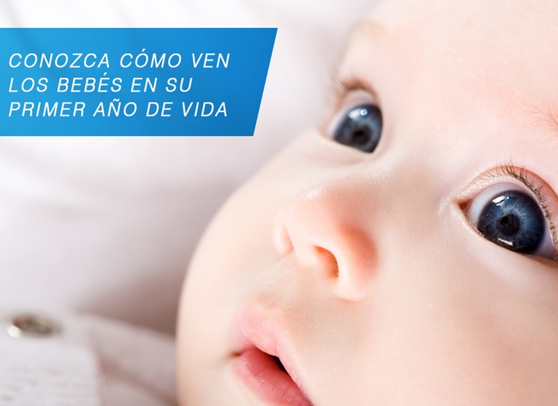 ¿Cómo es la visión de los bebés?