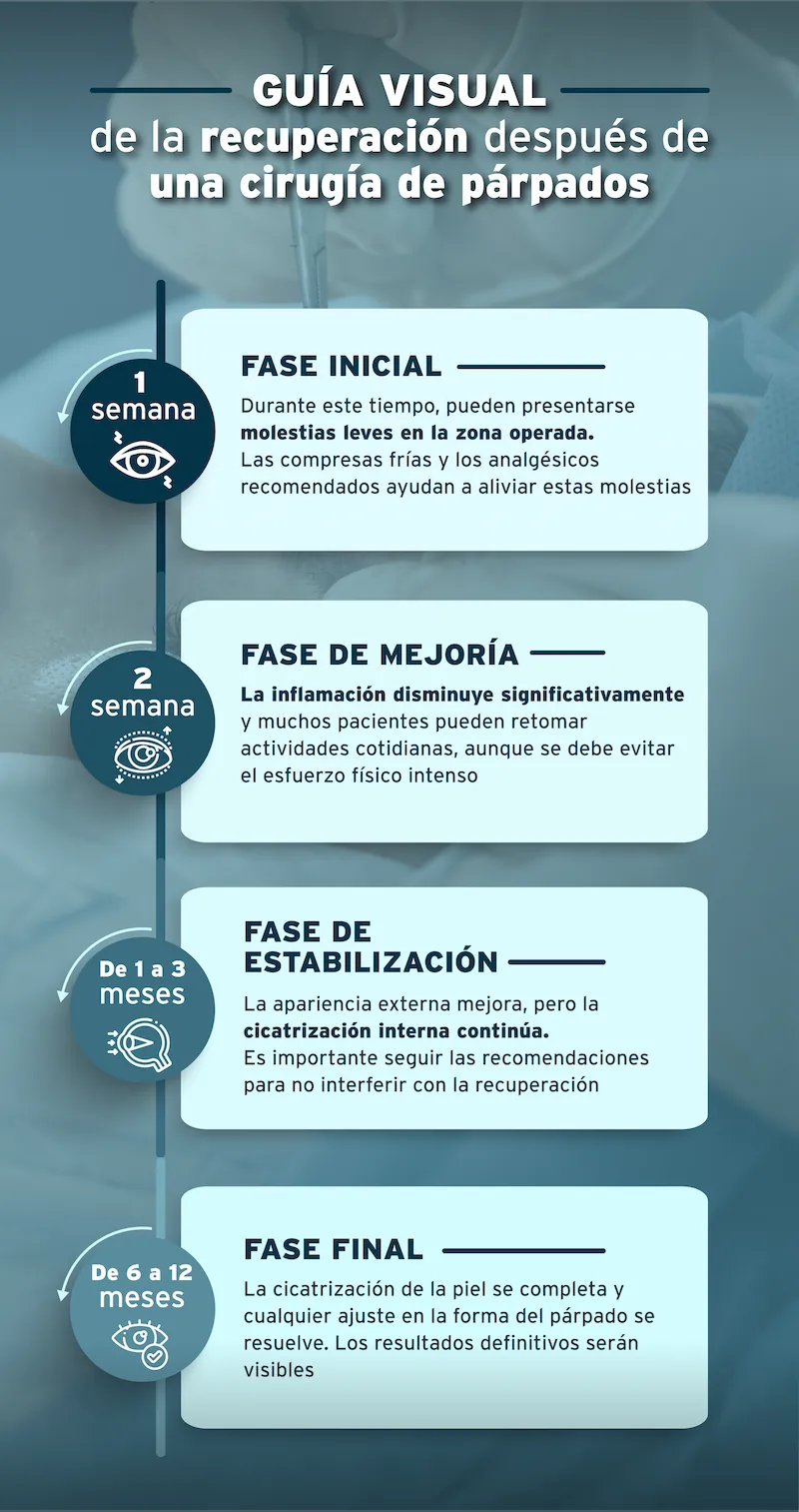Fases del proceso de recuperación 