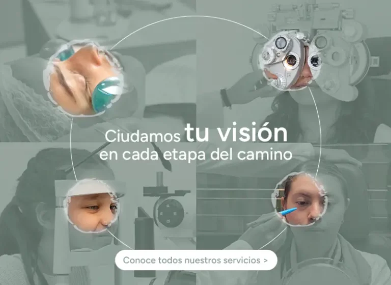Conoce nuestro portafolio integral para cada etapa de tu vida