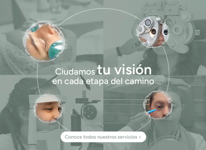 Conoce nuestro portafolio integral para cada etapa de tu vida